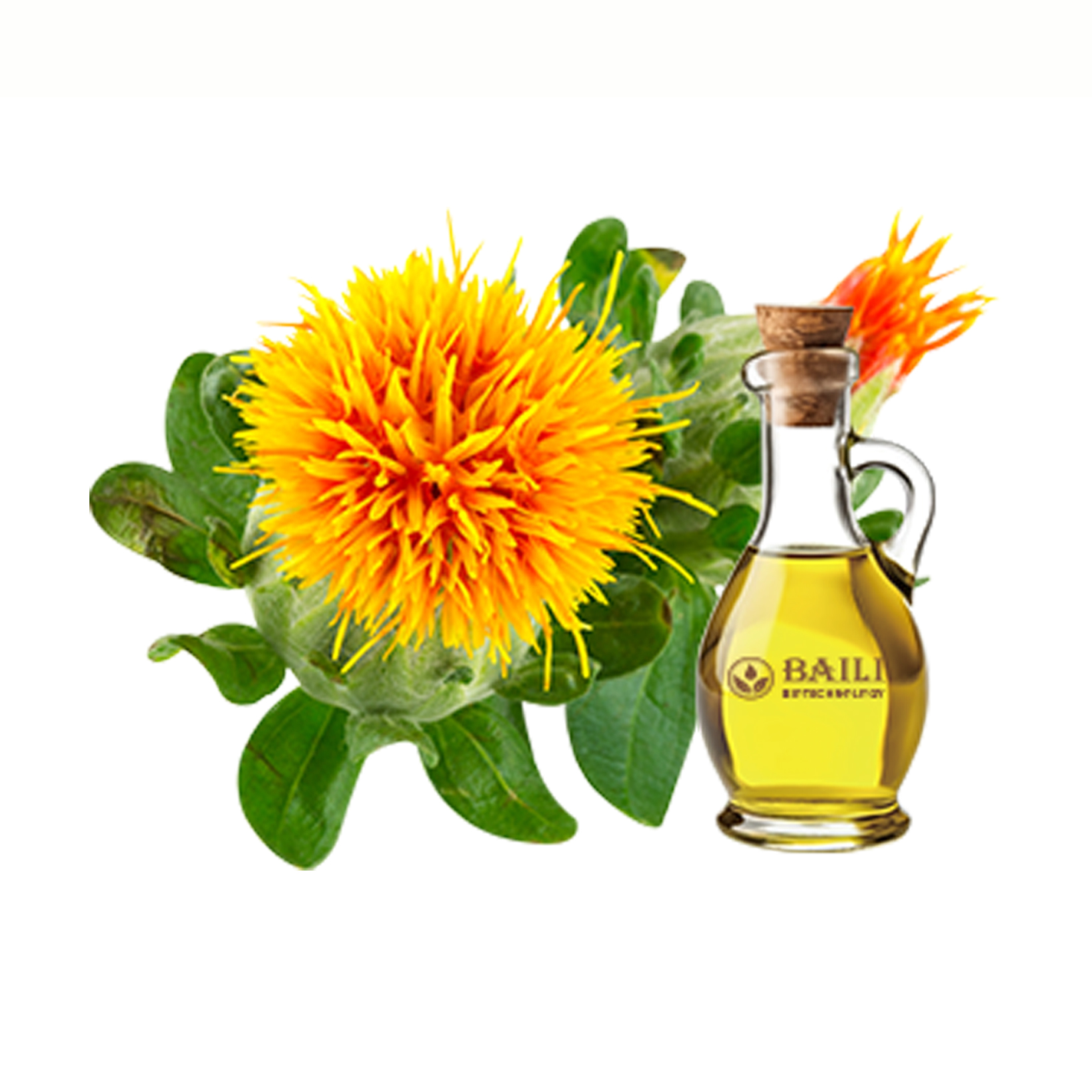 Safflower seed oil